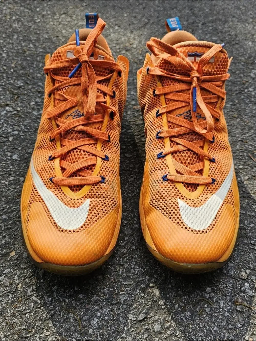 Nike LeBron 12 Low 'NY Knicks' basketball shoe - sz 13 US